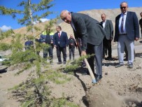 Konya Seker'den Büyük Çevre Dönüsümü, Atik Toplama Alani Agaçlandiriliyor