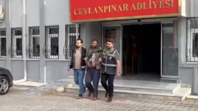 Şanlıurfa'da uyuşturucu! 7,52 gram kenevir tohumu yakalandı