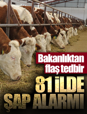 Tarım ve Orman Bakanlığından şap hastalığı flaş tedbir: 8 işletmeye karantina! Avrupa'nın en büyük hayvan pazarına kapatma .