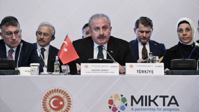 TBMM Başkanı Mustafa Şentop: Uluslararası kurumlar işlemiyor