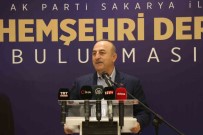 Bakan Çavusoglu Açiklamasi 'Türkiye'yi Eski Koalisyon Günlerine Götürmek Türkiye'ye Kaos Getirmek Demektir'