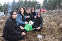 Bayrampasa'da Fidanlar Deprem Sehitleri Için Dikildi