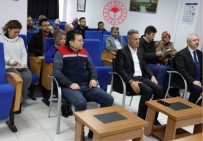 Bilecik'te Her Yil Yaklasik 385 Dekar Alanda Hububat Tarimi Yapilmakta