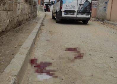 Yemek Dagitim Aracinin Çarptigi Çocuk Öldü