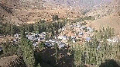 Erzurum'da köy halkına saldıran kurt, 4 kişiyi yaraladı