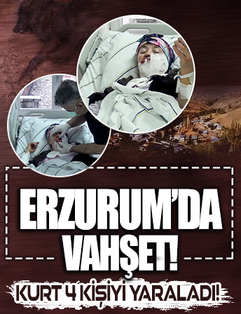 Erzurum'da köy halkına saldıran kurt, 4 kişiyi yaraladı