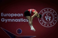 Türkiye Artistik Cimnastik Erkek Milli Takimi Avrupa Ikincisi Oldu
