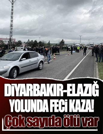 Diyarbakır - Elazığ karayolunda feci kaza: Çok sayıda ölü var