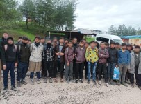 Siirt'te Yakalanan Düzensiz Göçmenlere 3 Milyon TL Para Cezasi Uygulandi Haberi