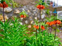 Yilda Sadece 15 Gün Açiyor Açiklamasi Koparmanin Cezasi 244 Bin 315 Lira