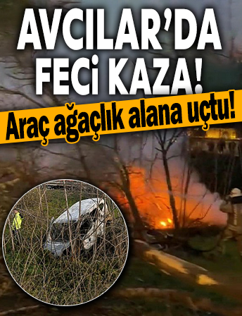 Avcılar'da feci kaza! Ağaçlık alana uçan hafif ticari araç yandı: 1 ölü