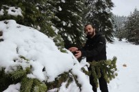 Bolu'da Nisan Ayinda Kar Sürprizi Haberi