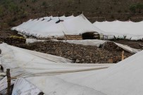 Sirnak'ta Sel 205 Hayvani Telef Etti