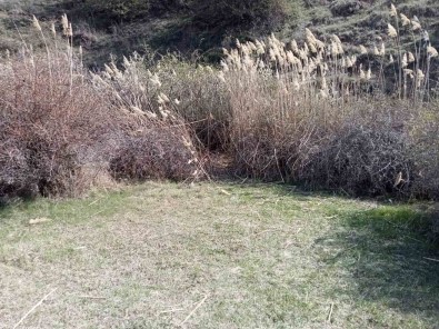 Ankara'da Kafasi Koparilmis 45 Günlük Ceset Bulundu