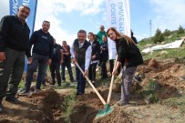 DEÜ Malatya'da 65 Bin Fidani Toprakla Bulusturacak