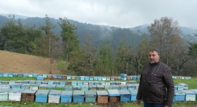 Devletten 30 Kovan Ari Aldi, 230 Kovana Çikardi