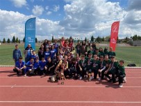 55 Sporcu Sampiyonluk Için Mindere Çikti