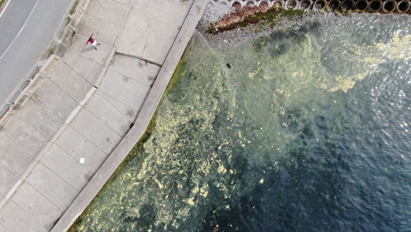 Marmara'da endişelendiren görüntü: Müsilaj kâbusu geri mi döndü?