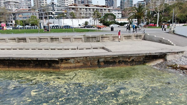 Marmara'da endişelendiren görüntü: Müsilaj kâbusu geri mi döndü?