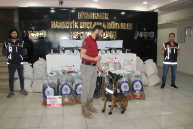 Diyarbakir Merkezli 50. 'Kökünü Kurutma Operasyonunda Ele Geçirilenler Sergilendi Açiklamasi 215 Gözalti