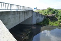 Her Yil Arazilerini Su Basiyor