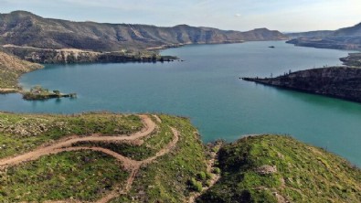 Manavgat yangını sonrası ormanlık alanda yapılan çalışmalar 21 ay sonrası meyve verdi