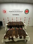 Sabiha Gökçen'de Valiz Içerisinde Kilolarca Insan Saçi Ele Geçirildi