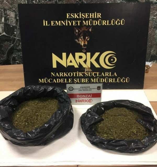 Eskişehir'de 5,5 kilo bonzai ele geçirildi