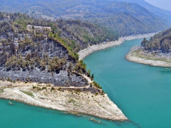 Manavgat yangını sonrası ormanlık alanda yapılan çalışmalar 21 ay sonrası meyve verdi