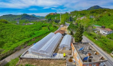 Baskan Tavli Açiklamasi 'Peyzaj Düzenlemelerinde Tüm Ürünleri Kendi Bünyemizde Yetistirecegiz'