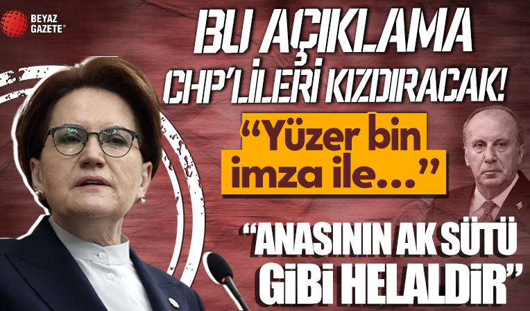 Meral Akşener'den CHP'lileri kızdıracak Muharrem İnce açıklaması: Aday olması anasının ak sütü gibi helaldir