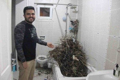 Tatilden Evine Dönen Vatandas Gördügü Manzara Karsisinda Saskina Döndü