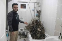 Tatilden Evine Dönen Vatandas Gördügü Manzara Karsisinda Saskina Döndü