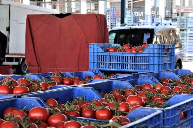 Antalya'da Halinde Domatesin Miktari Artti, Fiyati Düstü