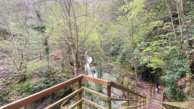 Sehre Bes Kilometre Mesafedeki Tabiat Aniti Ilgi Görüyor