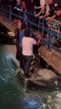 Adana'da Minibüs Sulama Kanalina Düstü, Itfaiye 4 Kisiyi Bogulmaktan Kurtardi