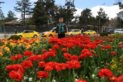 Isparta'da Ilkbaharin Renkli Havasi Çiçeklere Yansiyor