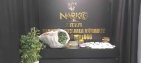Uyusturucu Yuvasi Eve Baskinda 67 Kök Kenevir Ve 7 Kilo Esrar Ele Geçirildi