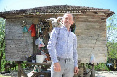 Baykus Ile Vatandasin 20 Yillik Dostlugu