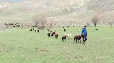 Besicilerin Bayramda Da Mesaisi Sürüyor