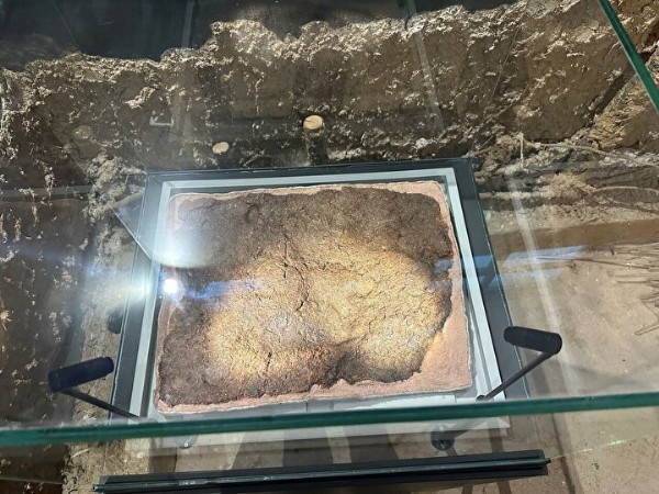 İznik Müzesi'nde 8 bin yıllık ayak izi: İlk kez sergilendi