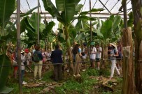 Alanya'da Kardes Sehir Çocuklarina Tropikal Meyveler Tanitildi Haberi