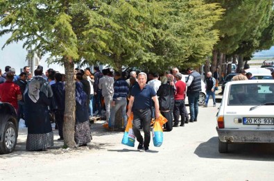Denizlili Çiftçilere Tohum Destegi Devam Ediyor
