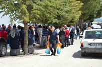 Denizlili Çiftçilere Tohum Destegi Devam Ediyor