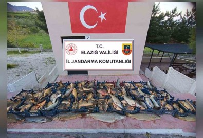 Elazig'da Kaçak Balik Avina 16 Bin Lira Ceza