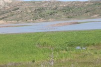 Tarimsal Sulama Ücretlerinin Yüzde 50'Si Devlet Tarafindan Karsilanacak