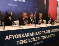 Bakan Kirisçi'den Afet Bölgesindeki Aricilara Büyük Müjde Açiklamasi