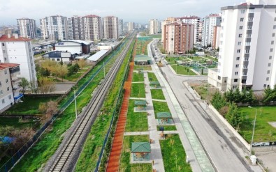 Küçük Dostlar Kedi Kasabasi Açiliyor