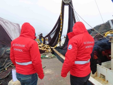 Trabzon'da 2022-2023 Balik Avi Sezonu Boyunca Toplam 23 Ton Hamsiye El Konuldu