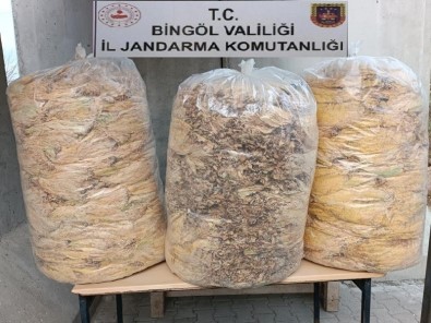 Bingöl'de 150 Kilo Yaprak Tütün Ele Geçirildi